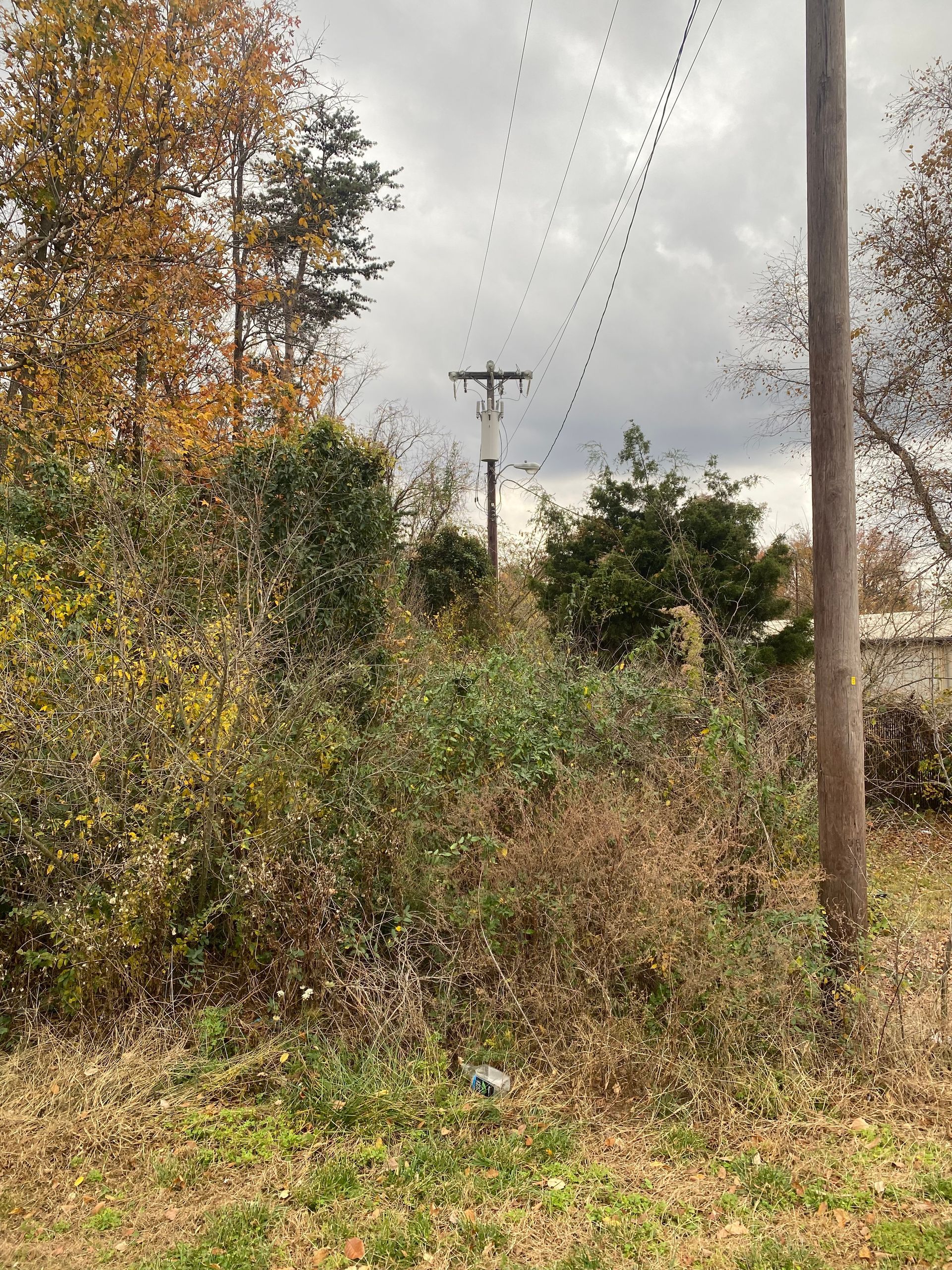 A telephone pole in the middle of a field with trees in the background.
