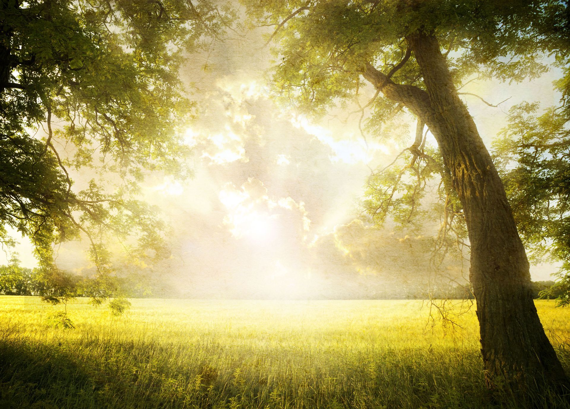 6 Ways Environmental Consultants Help Prevent Costly Project Shutdowns