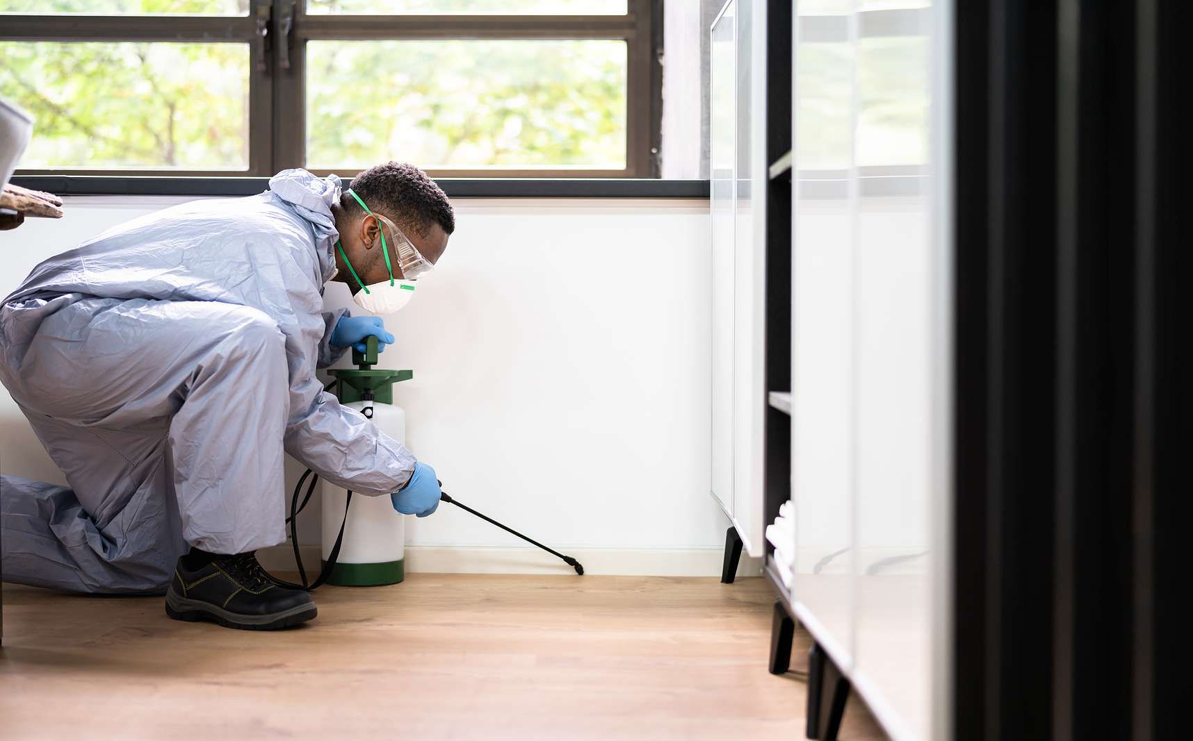 Pest Control Ft Myers, FL Sun Pest Control