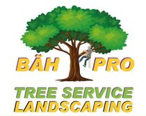 BAH Pro Tree Service Logo