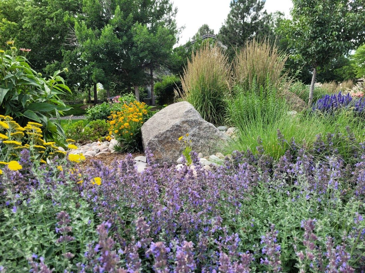 A garden filled with lots of purple flowers and trees.