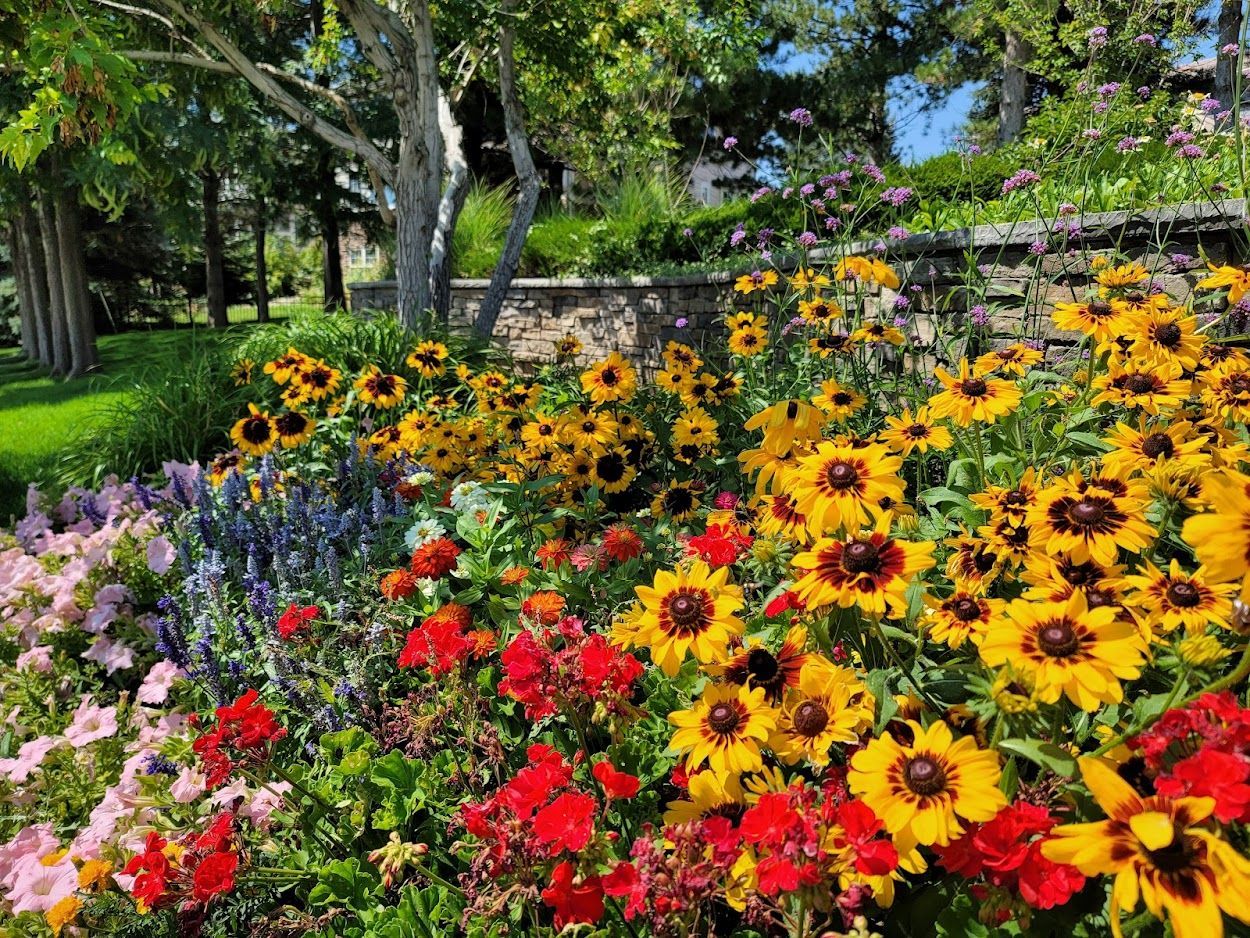 There are many different types of flowers in this garden.