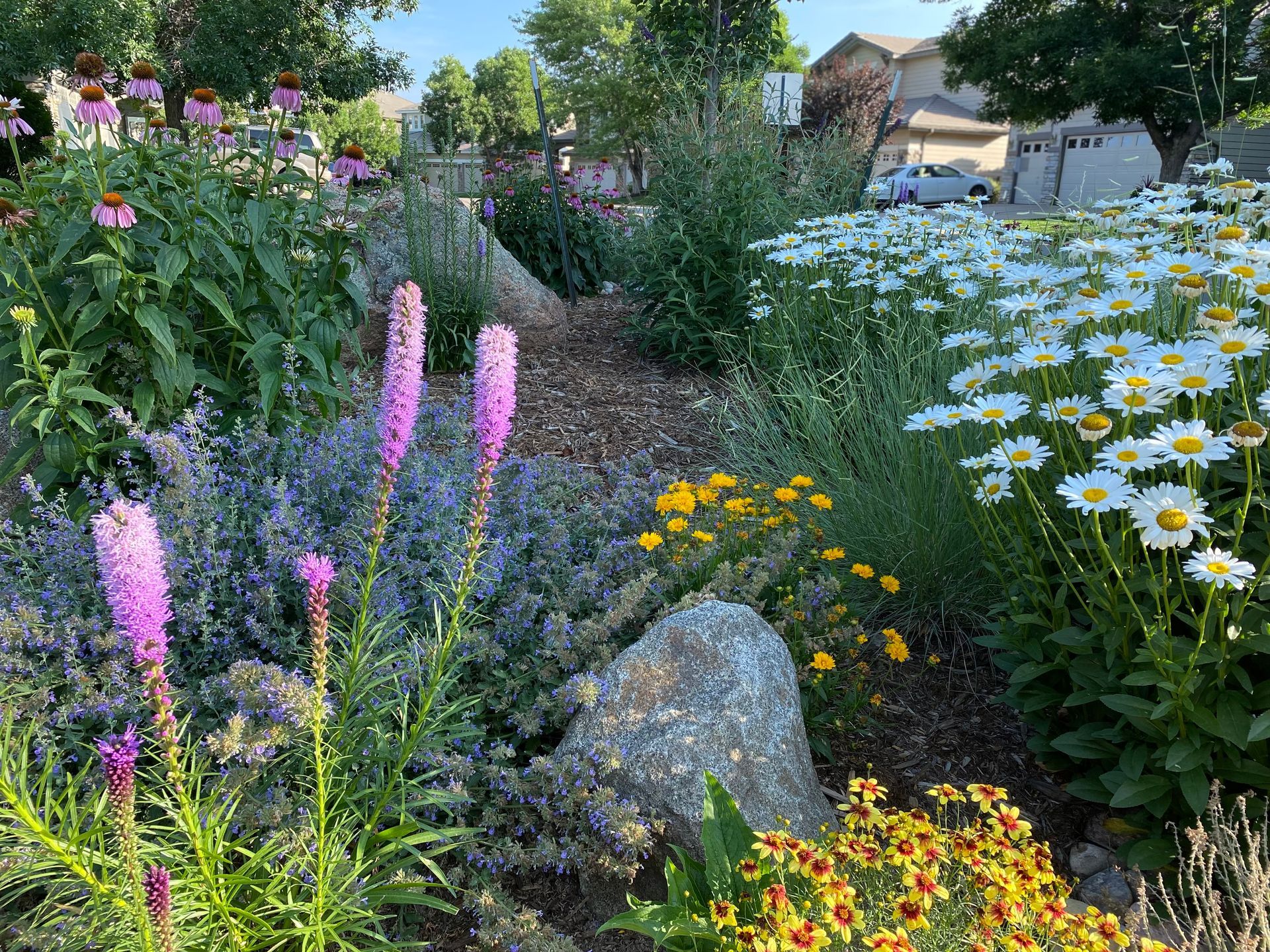 There are many different types of flowers in this garden.