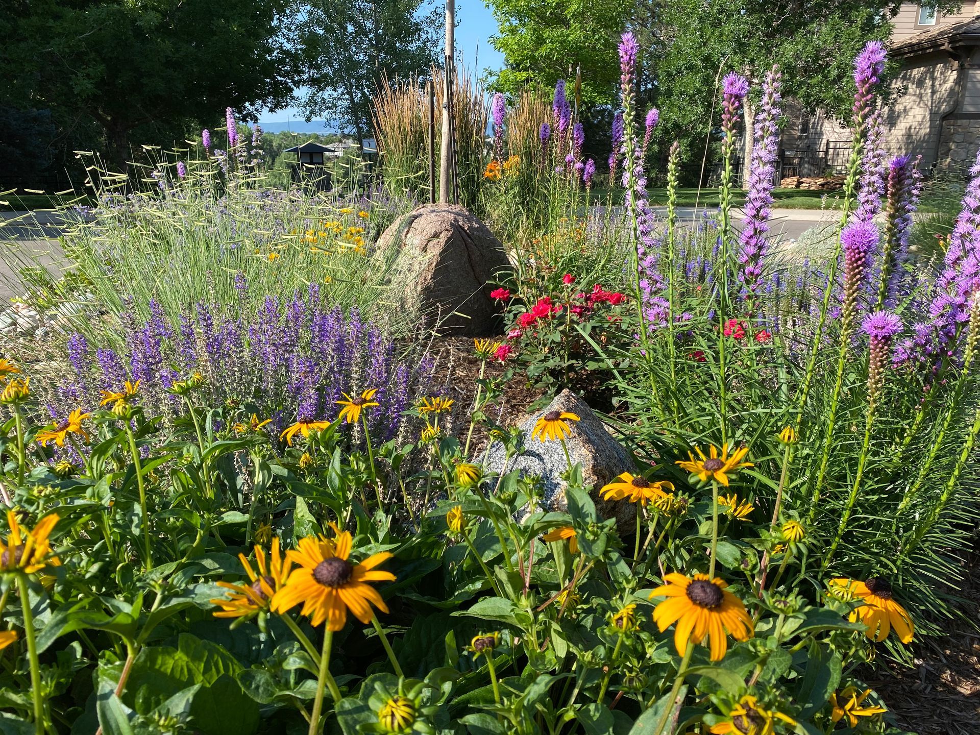 There are many different types of flowers in this garden.