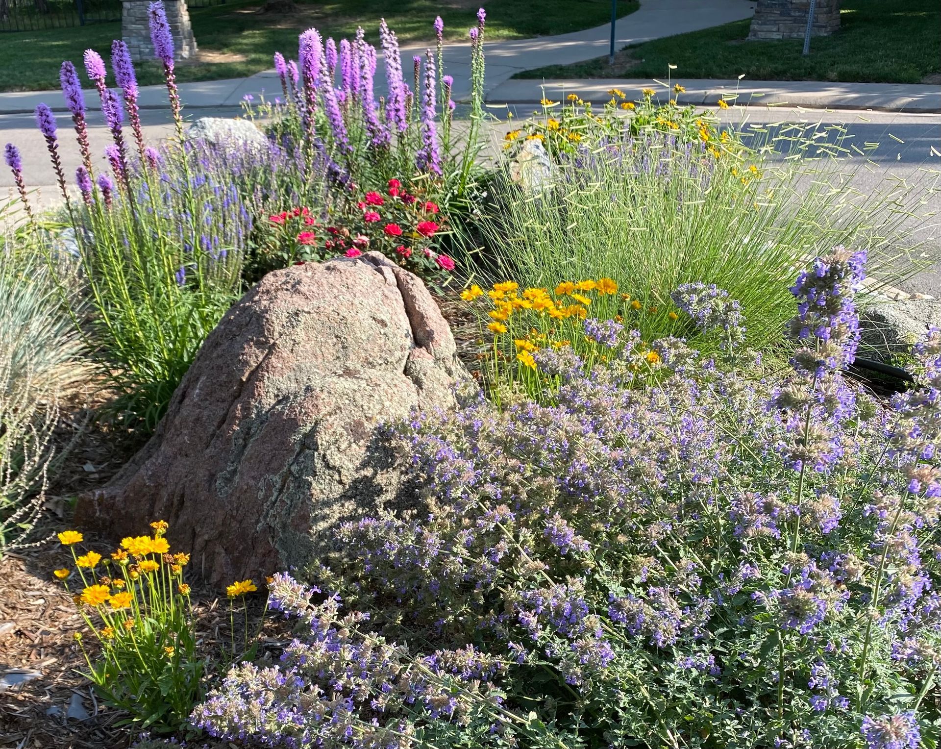 A garden with purple and yellow flowers and a large rock
