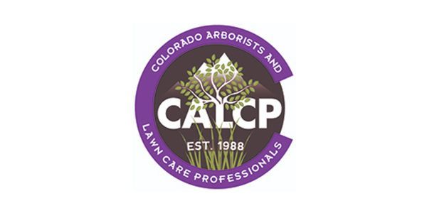 CALCP logo