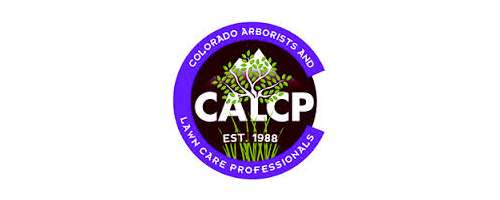 Member of the CALCP - Colorado Arborists and Lawn Care Professionals
