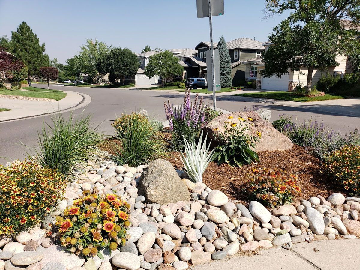 A row of sprinklers spraying water on a lush green field.