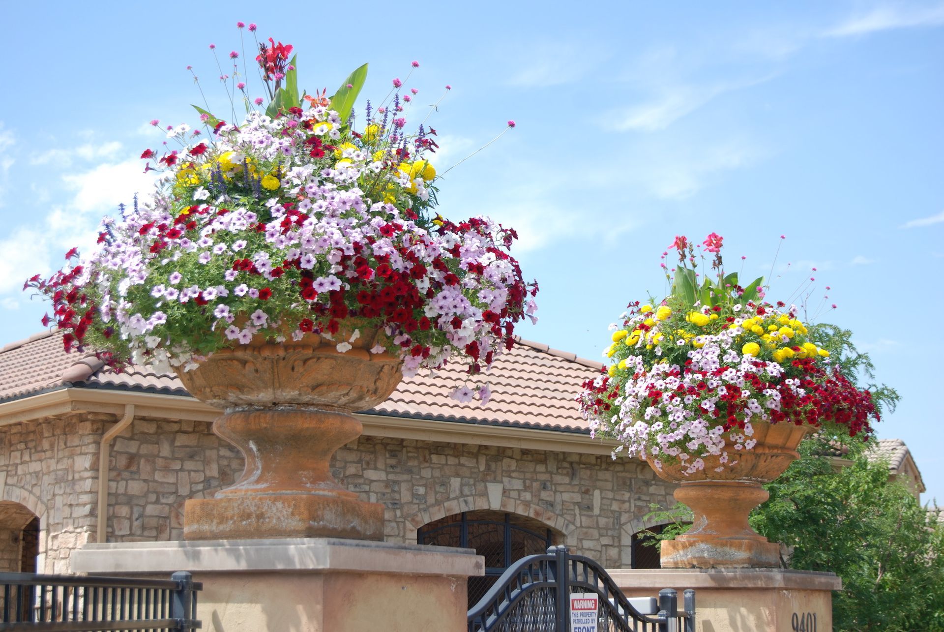 A house with a lot of flowers in front of it