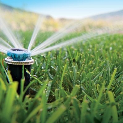 A sprinkler is spraying water on a lush green lawn.