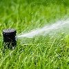 A sprinkler is spraying water on a lush green lawn.