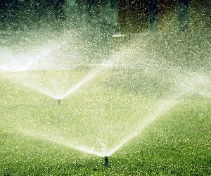 A sprinkler is spraying water on a lush green field.