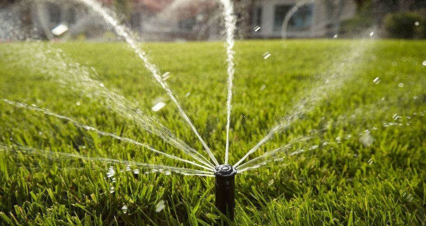 A sprinkler is spraying water on a lush green lawn.