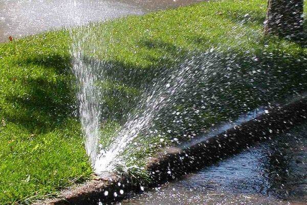 A hose is spraying water on a lawn.