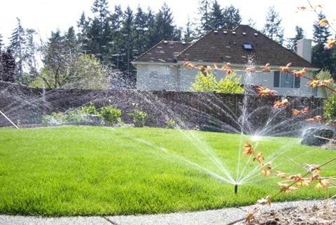 A sprinkler is spraying water on a lush green lawn in front of a house
