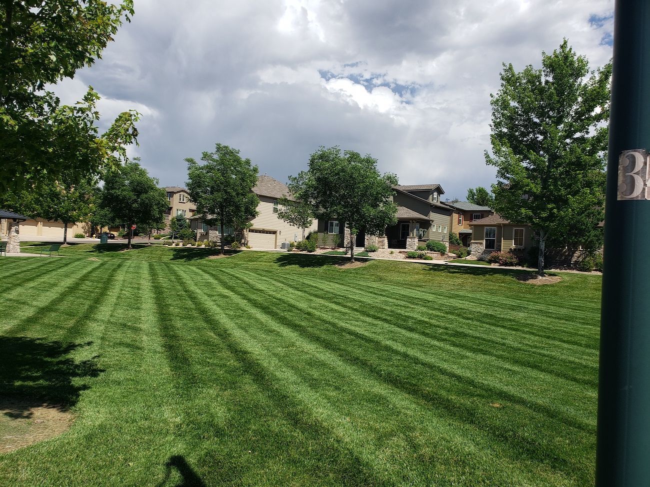A lush green lawn with a few houses in the background