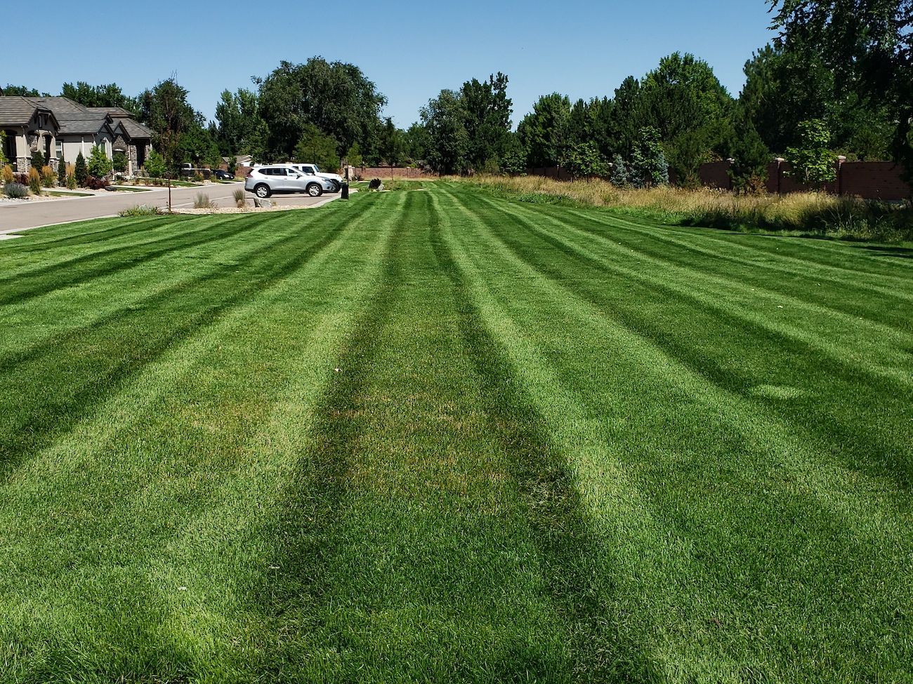 A lush green lawn with a few cars parked in the background.