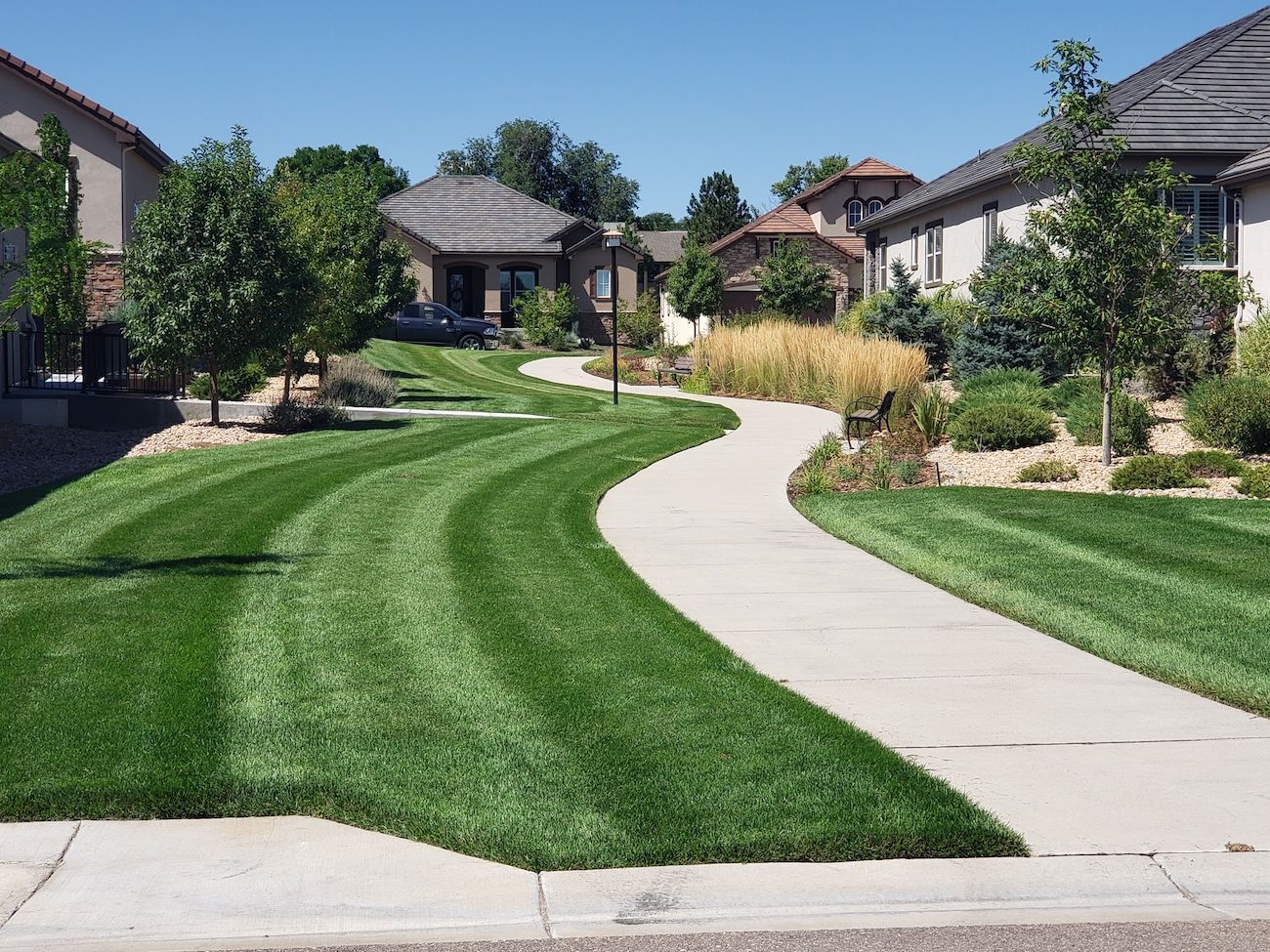A residential neighborhood with a lush green lawn and a concrete walkway