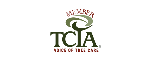 Member of TCIA
