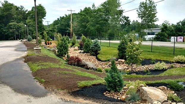 Landscaping services