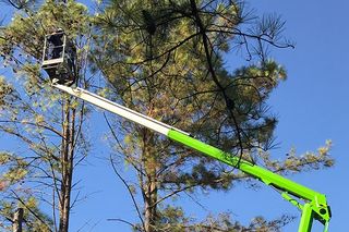 Cook S Lawncare Service Landscaping Lawn Edging Smyrna