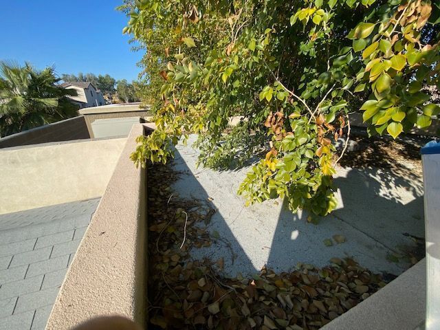 Backyard with a wall, tree branches, and dry leaves in a narrow corner above a roof.