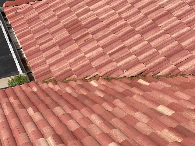 Red clay tile roofs of two houses meeting at an angle, with a small patch of greenery at the edge.