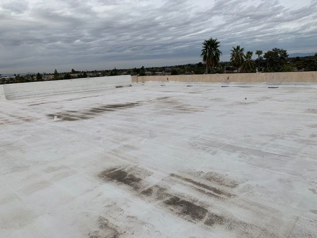 White plastic-covered field under cloudy sky with palm trees in the distance