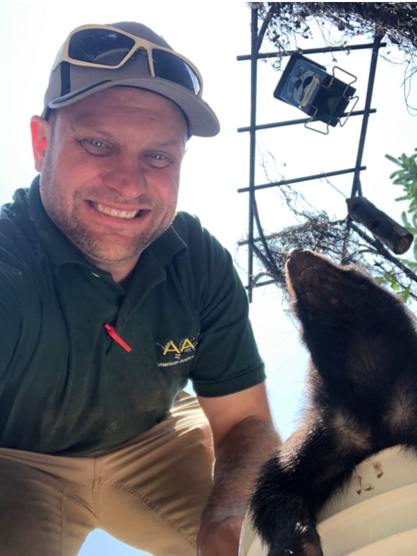 American Animal Control