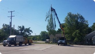 Tree trimming in progress: crane lifts branches, truck and chipper present, sunny day.