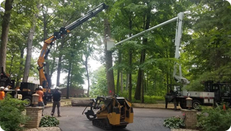 Tree removal with crane and lift equipment in a residential area. Workers are present.