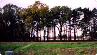 Lake view after invasive species removed