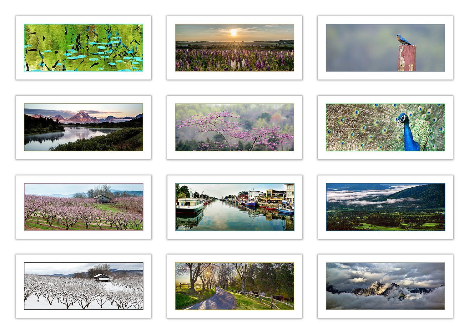 Note Card Gallery
