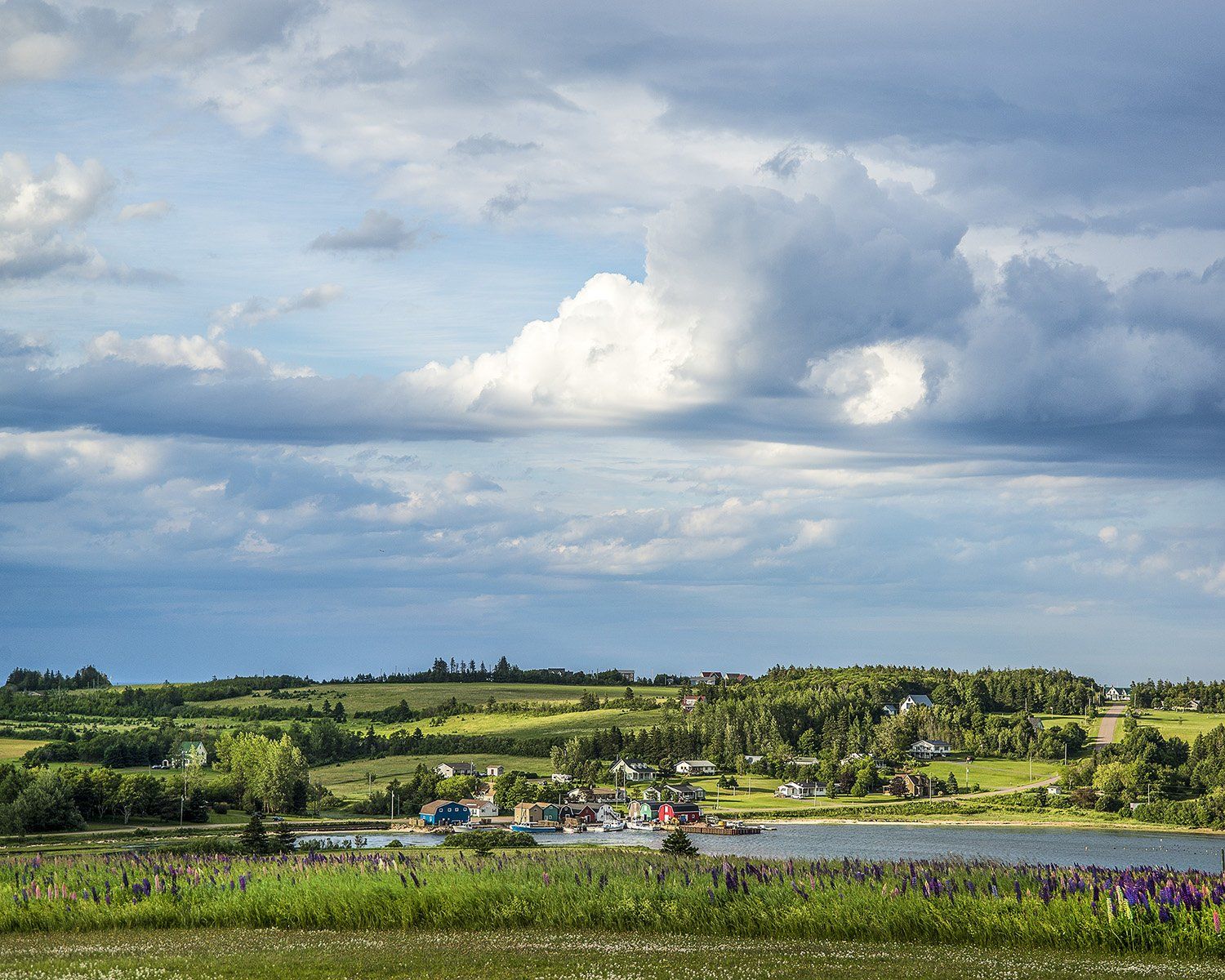 French River Afternoon