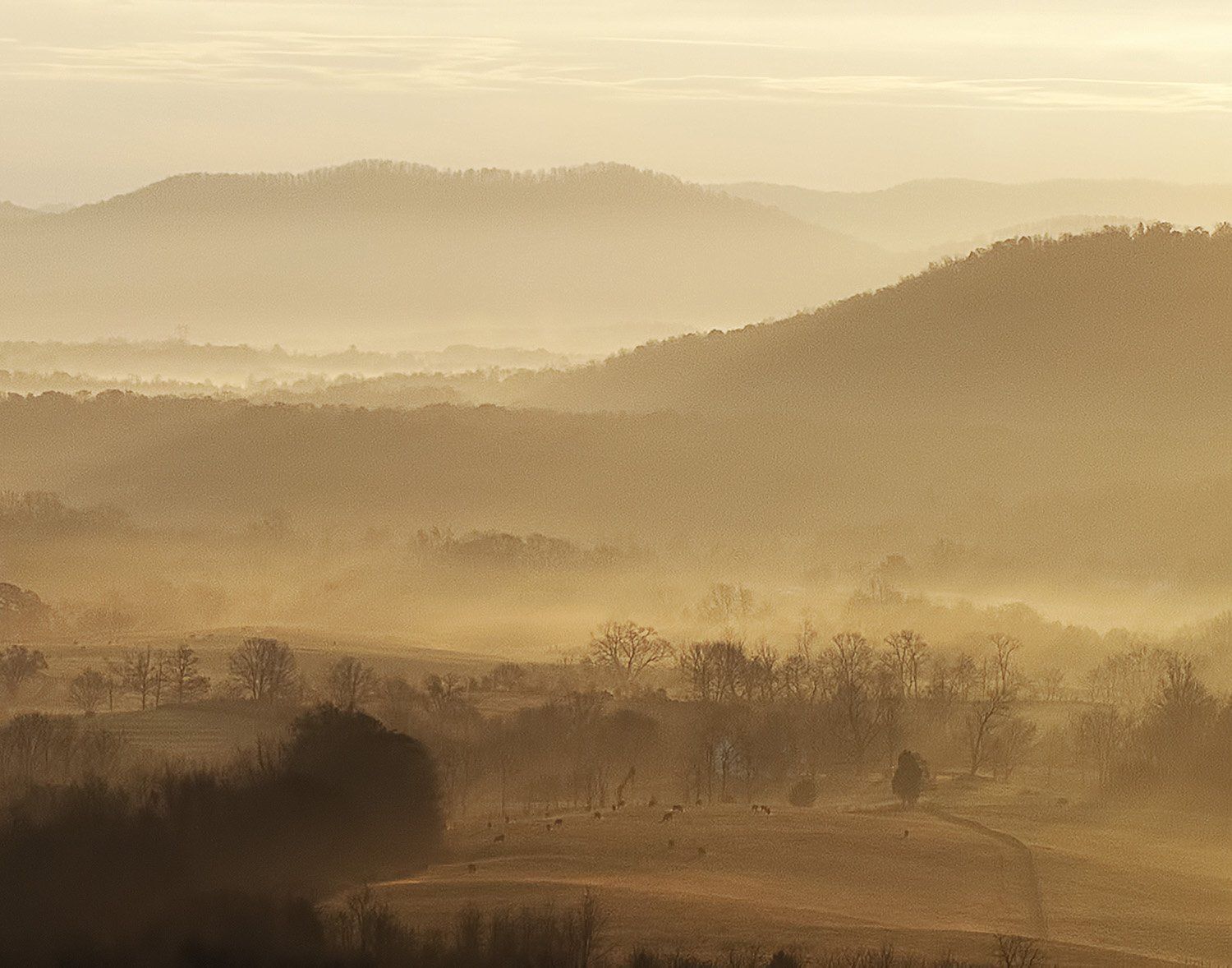 View Toward Rockfish Valley