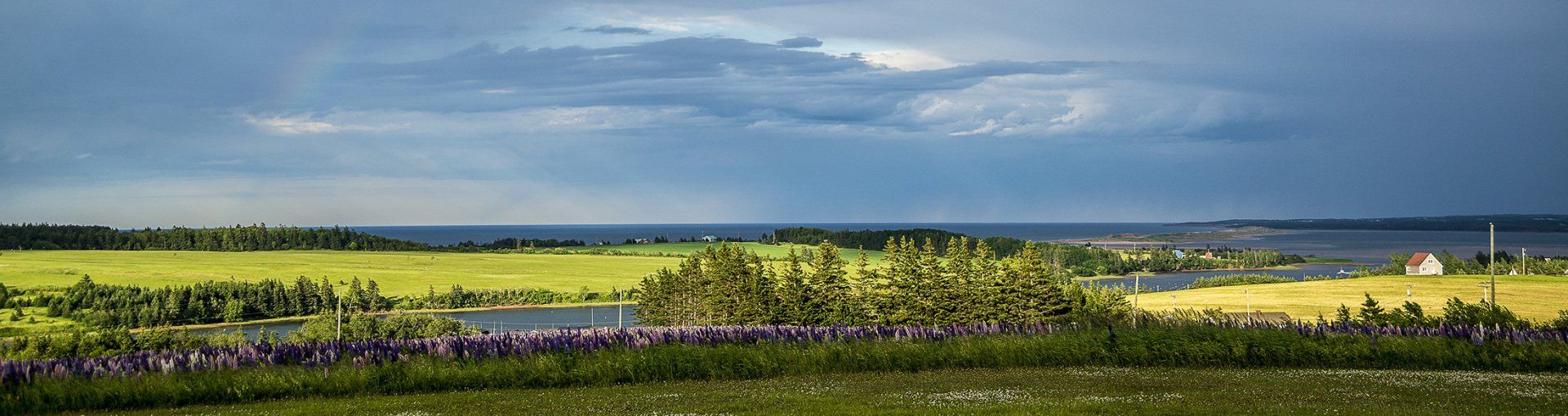 View Toward the Gulf of St. Lawrence