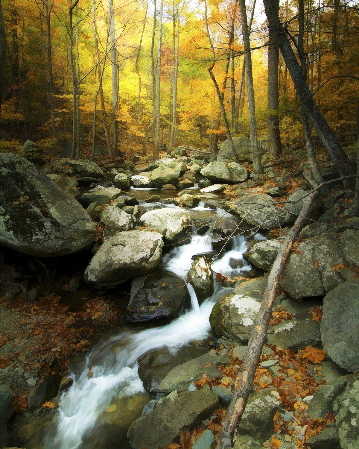 Whiteoak Canyon Little Falls