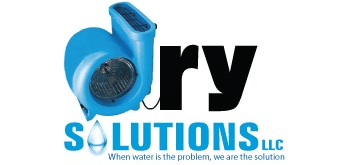 Dry Solutions LLC | Logo