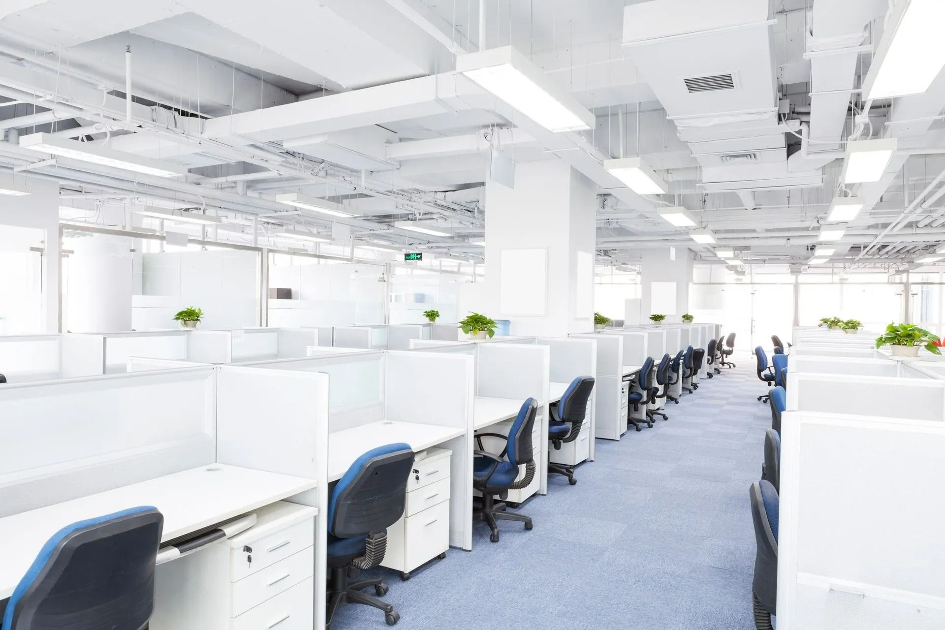 Bright open-plan office with white cubicles, blue chairs, and potted plants on desks