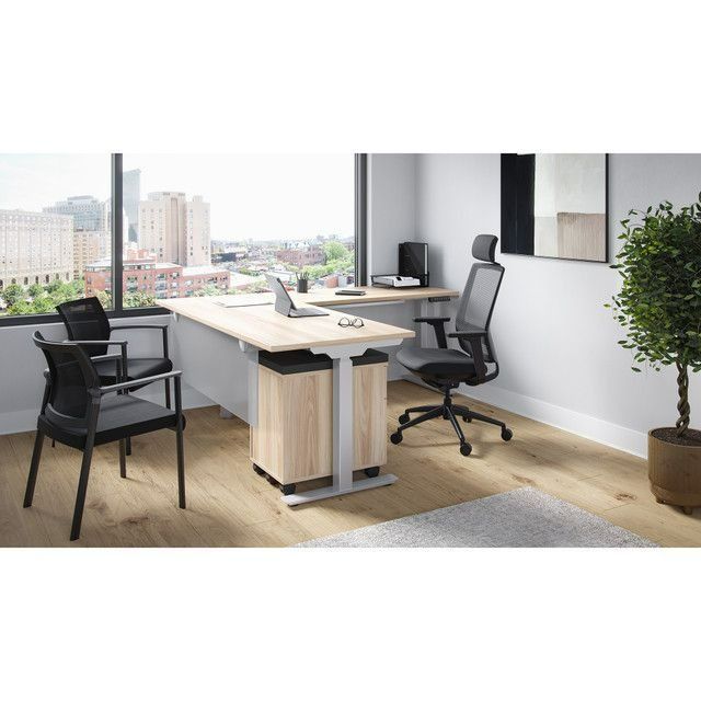 Modern office with two desks, black chairs, large window city view, and a potted plant