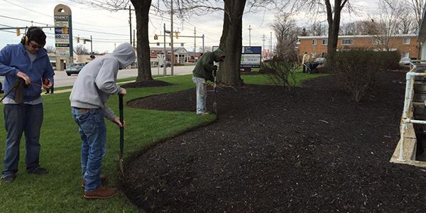 A group of people are working in a park.