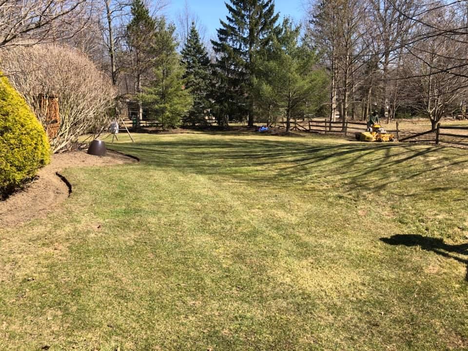 A large lush green lawn with trees in the background.