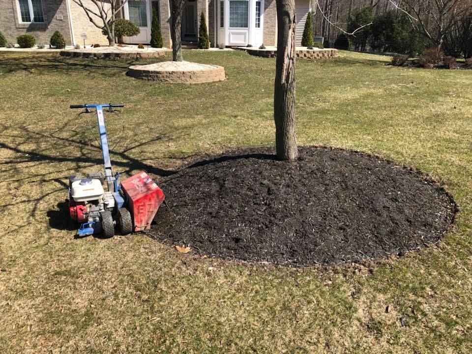 A lawn mower is sitting in the middle of a lush green lawn next to a tree.
