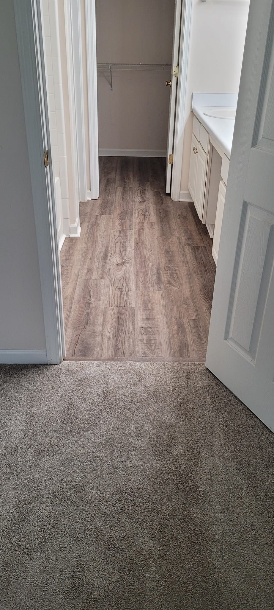 Hallway with carpeted floor, white trim, and sunlight streaming in from the left.