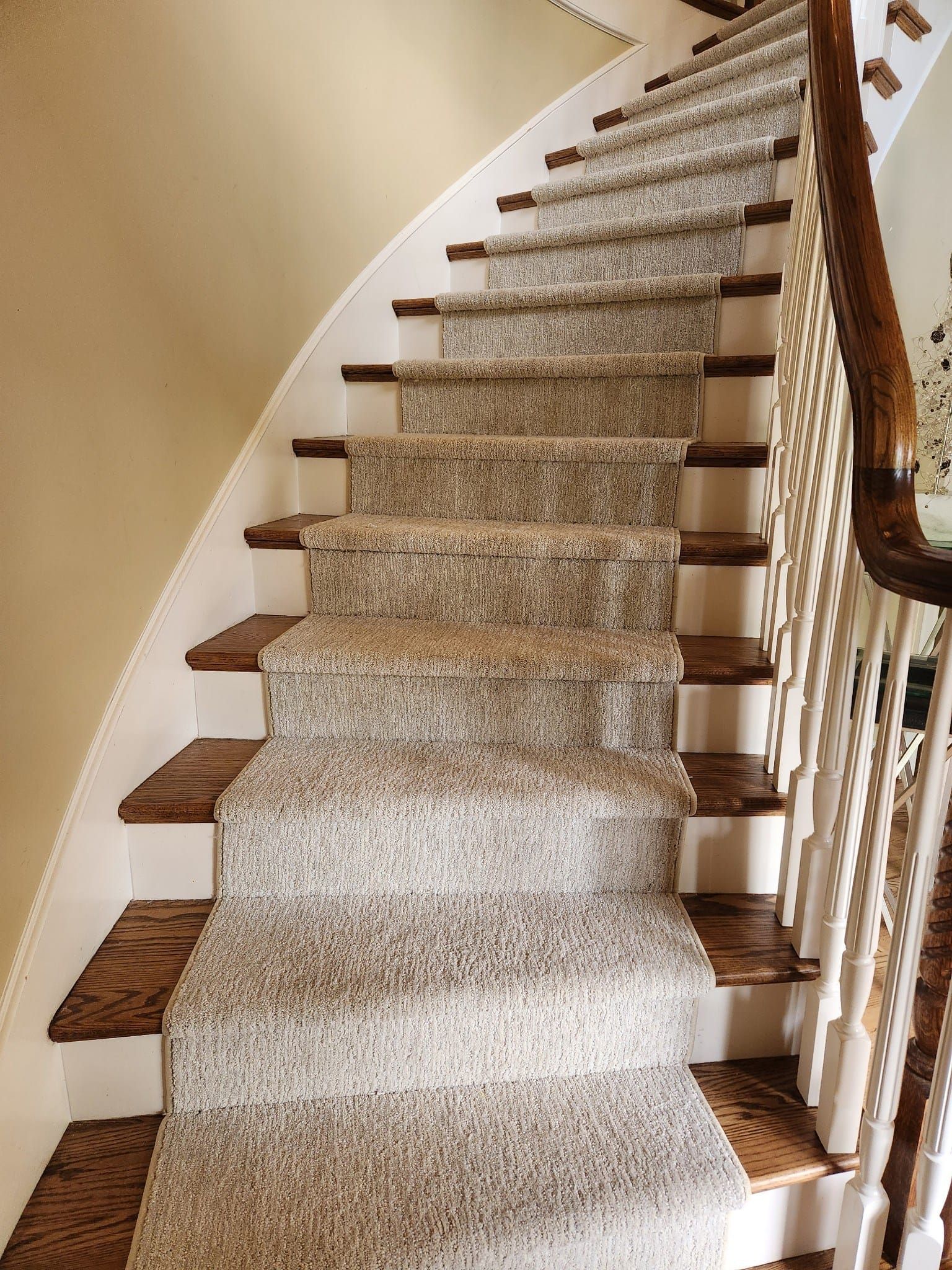 Carpeted curved staircase with wooden steps and railing.