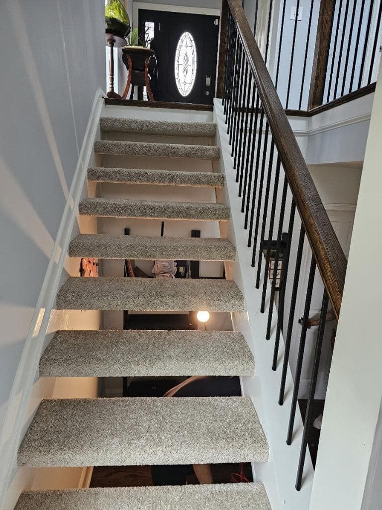 Staircase with light gray carpet and dark railing leading up to a front door with glass oval.
