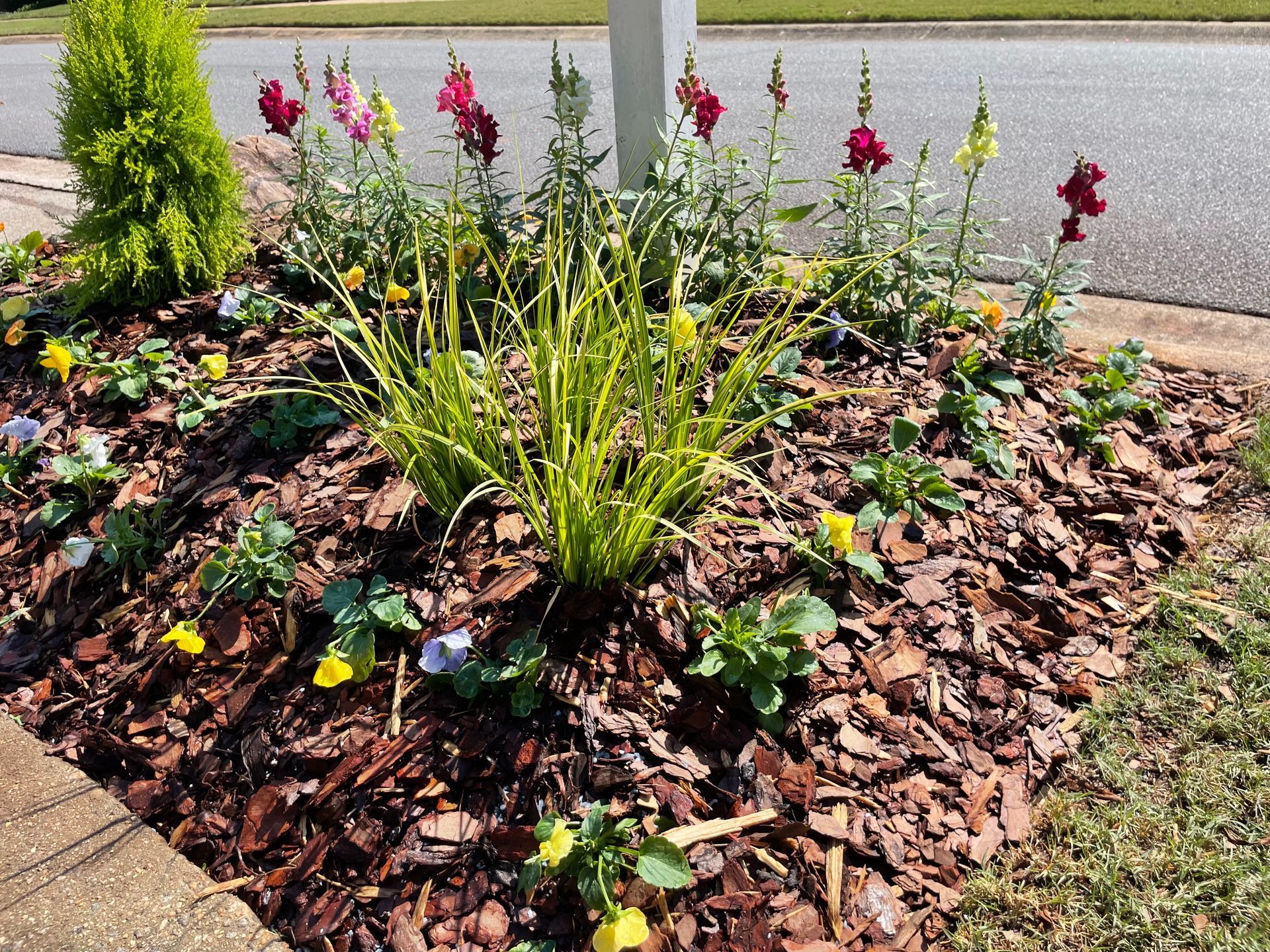 A garden with flowers and mulch on the side of the road.