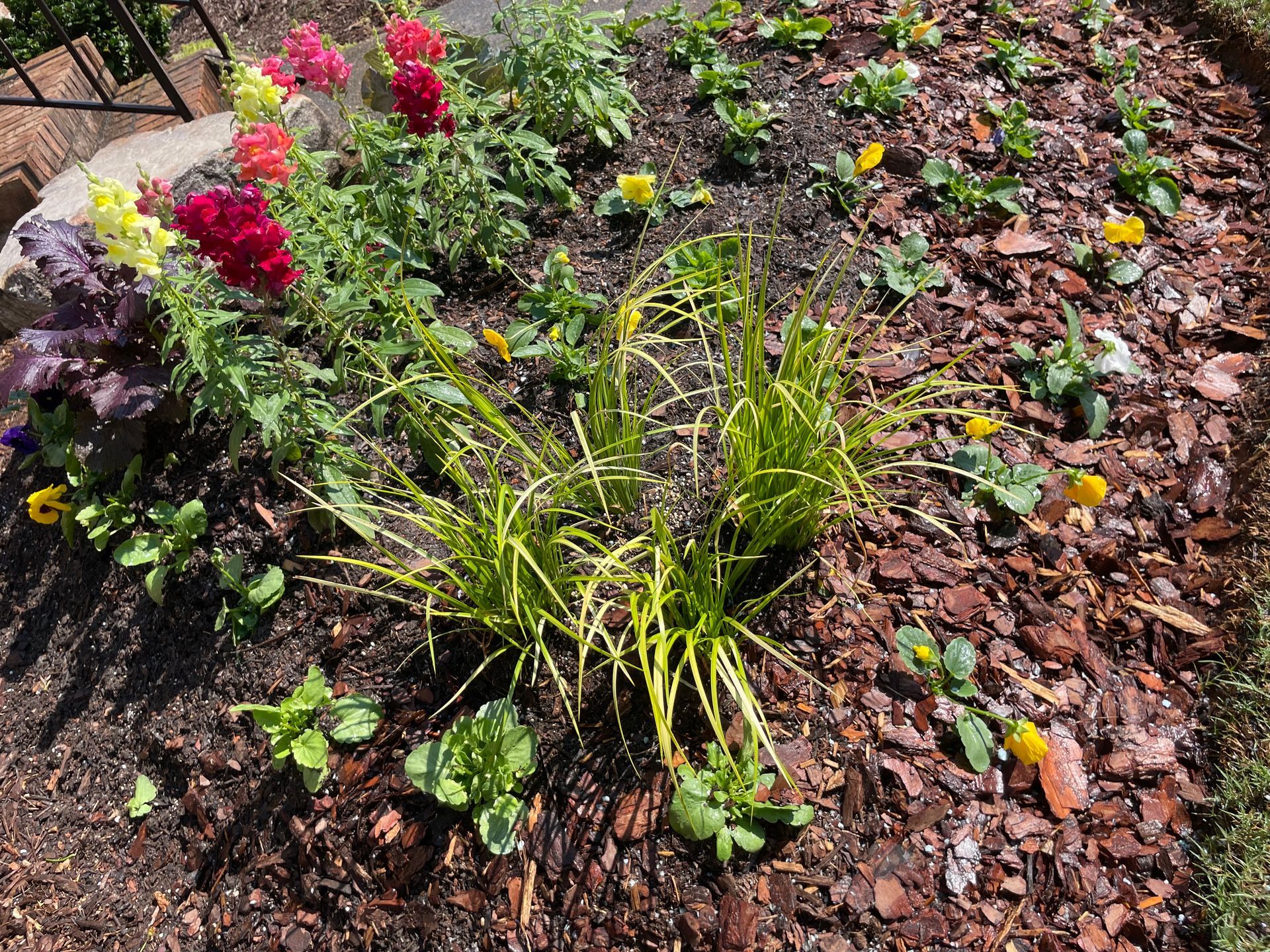 A garden filled with lots of flowers and plants.