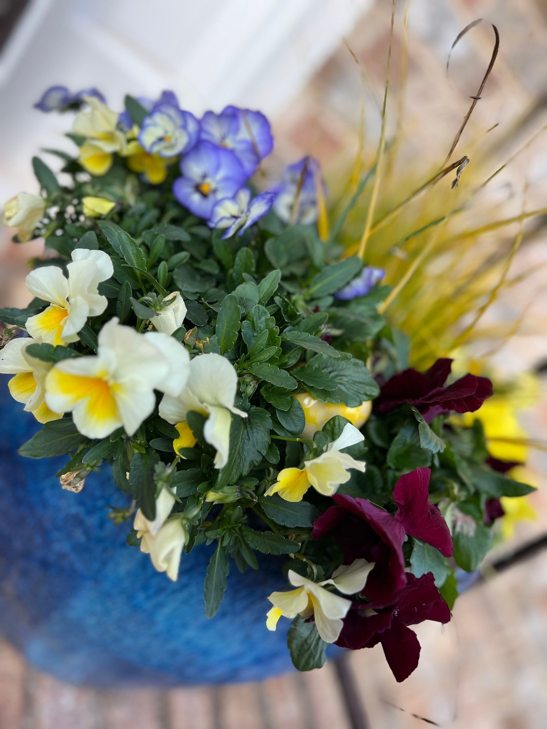 A blue pot filled with yellow and purple flowers