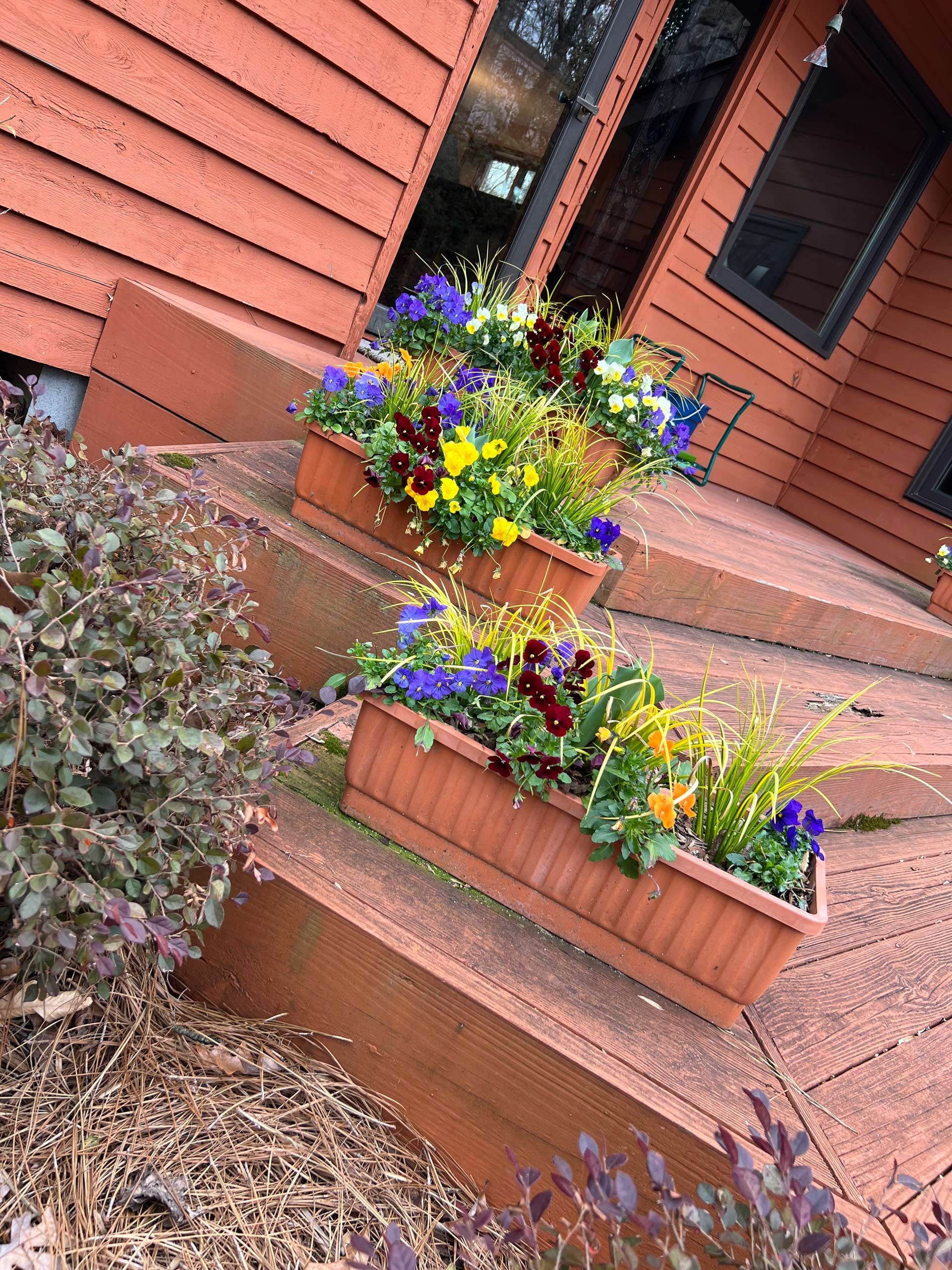 A row of planters filled with flowers are on the steps of a house.